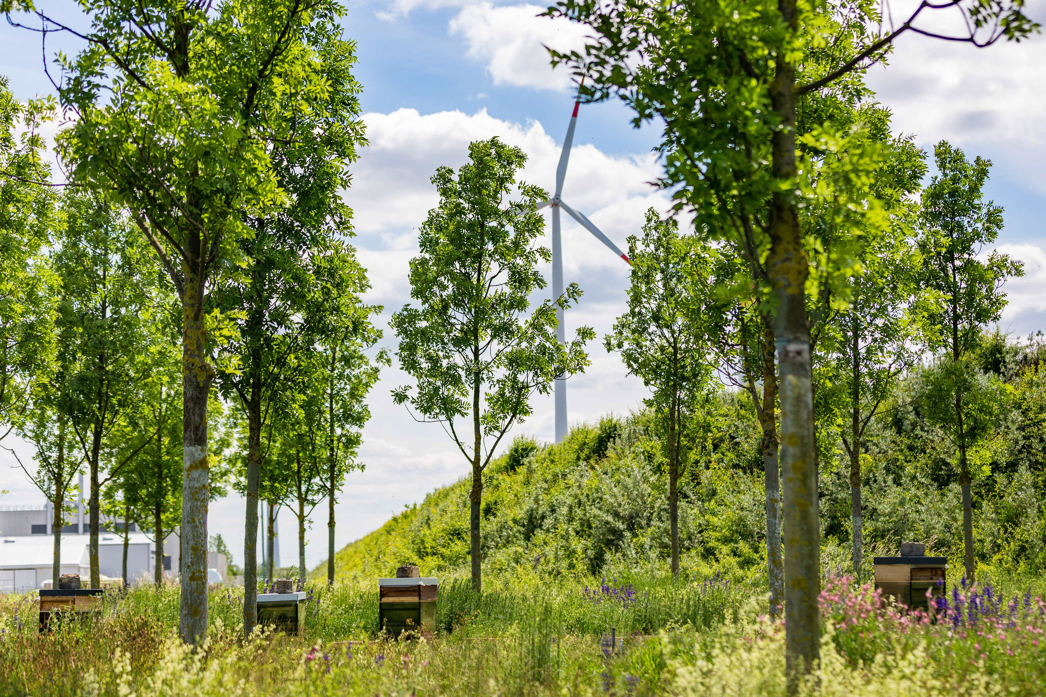 BMW Group erreicht 2020 wichtigen Meilenstein beim Klimaschutz.