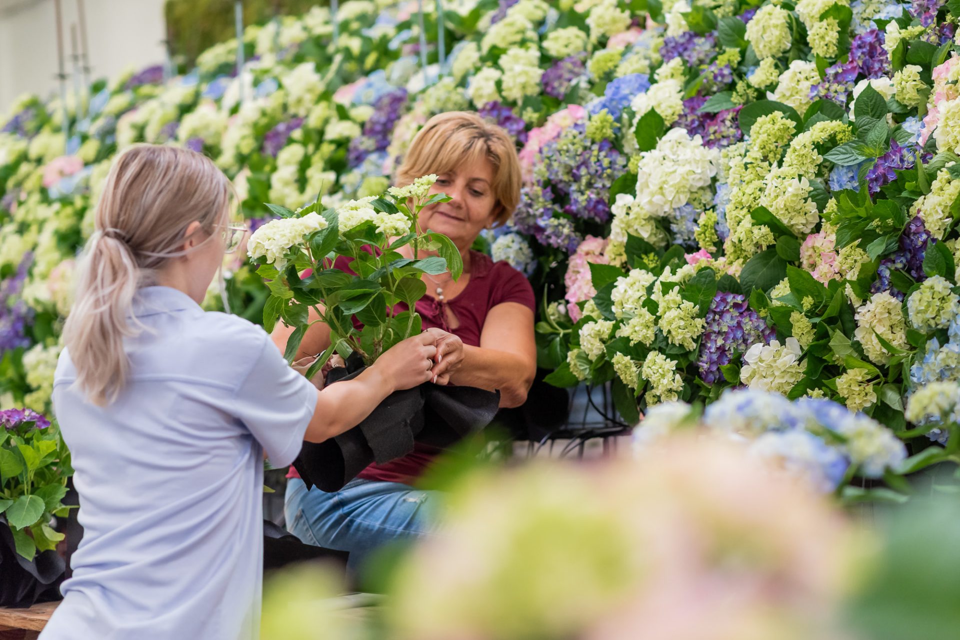 A woman is given flowers