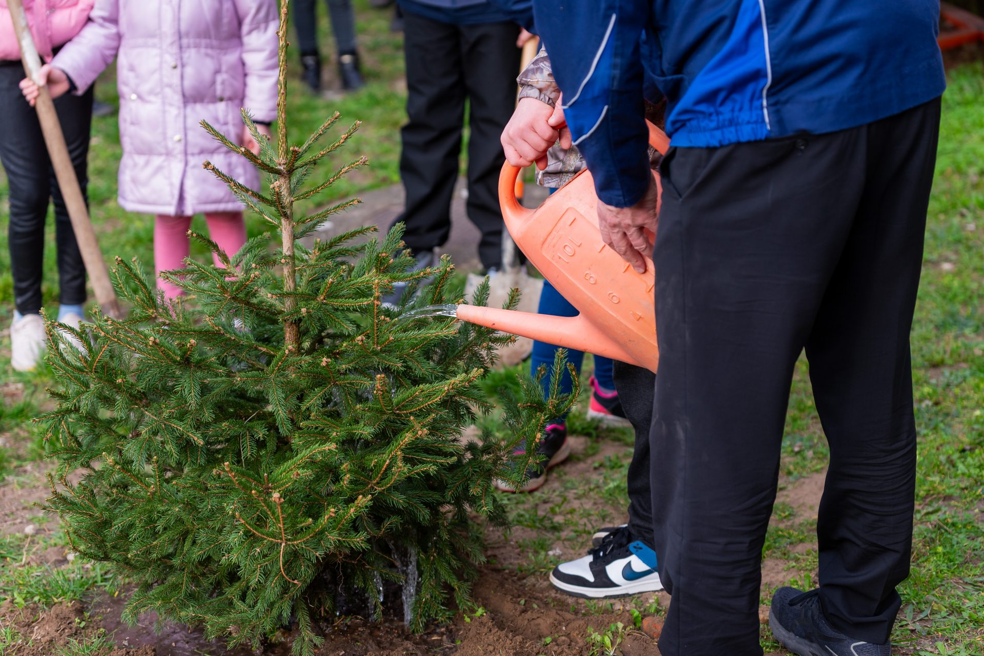 The tree is being watered