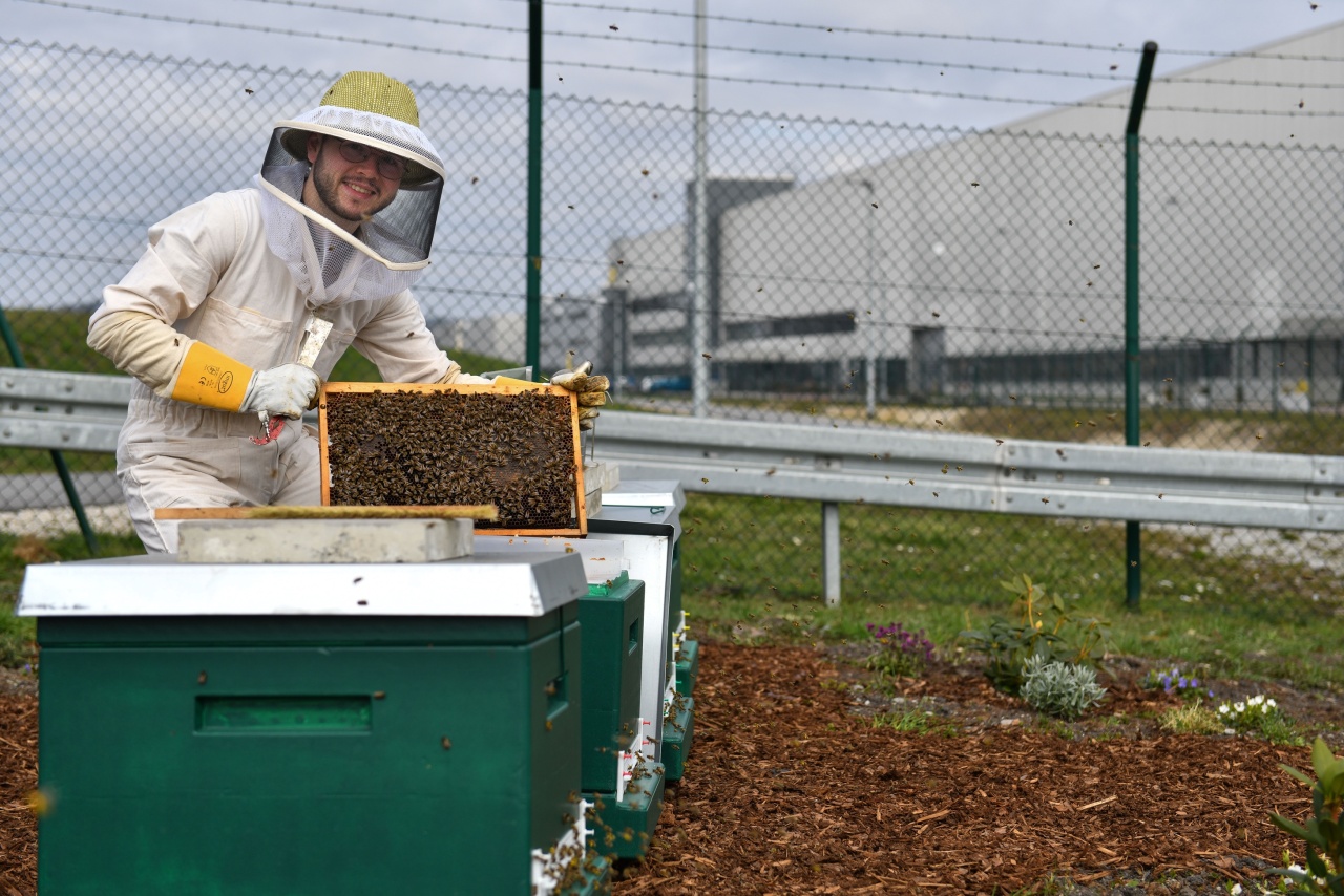 Stefan Fleischmann ist Mitarbeiter in der Dingolfinger Lackiererei und Imker. Er hat die Bienen im BMW Group Werk Dingolfing angesiedelt.