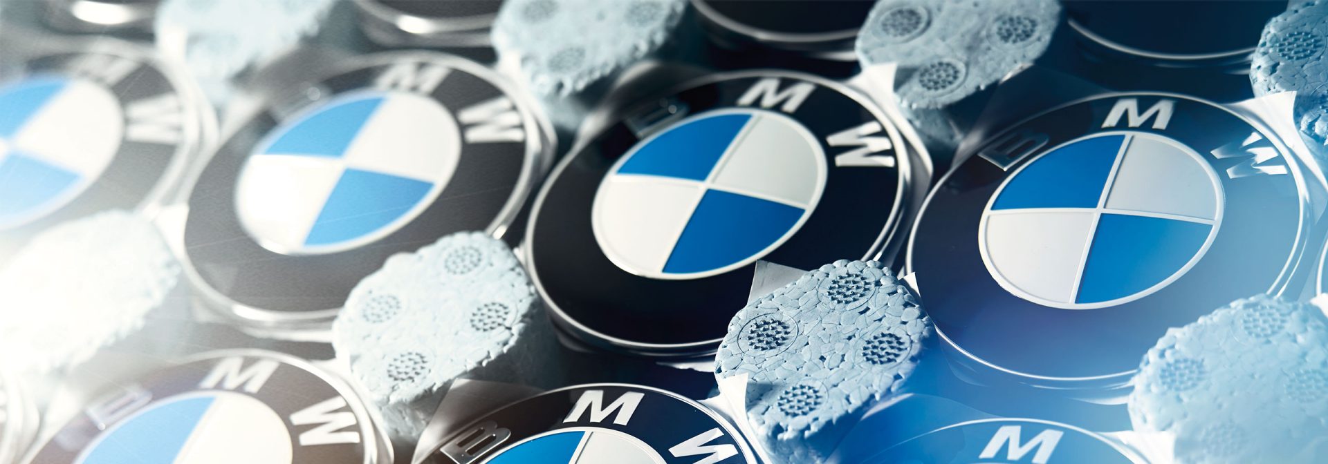 BMW Logo