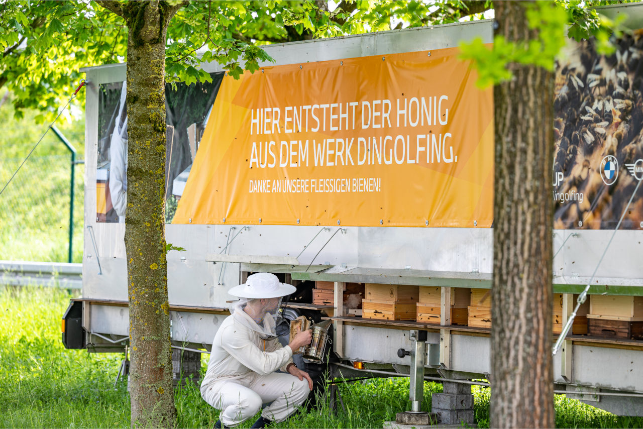 Biodiversität im Werk Dingolfing