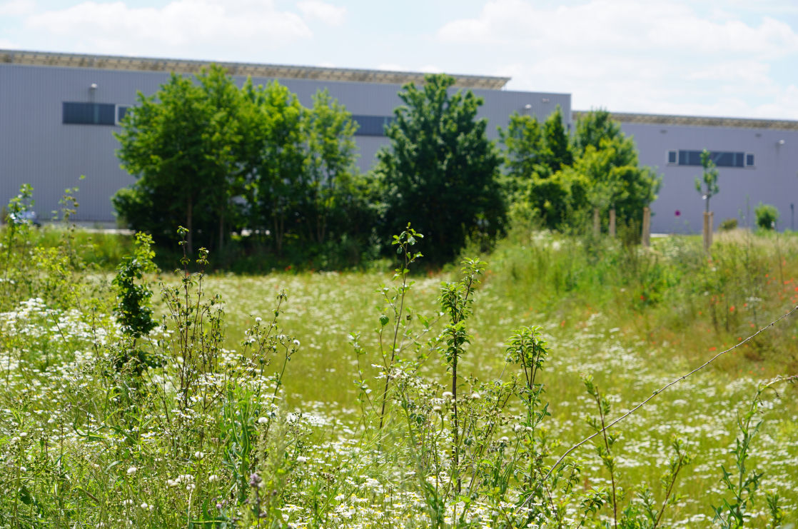 BMW Werk Dingolfing Biotop