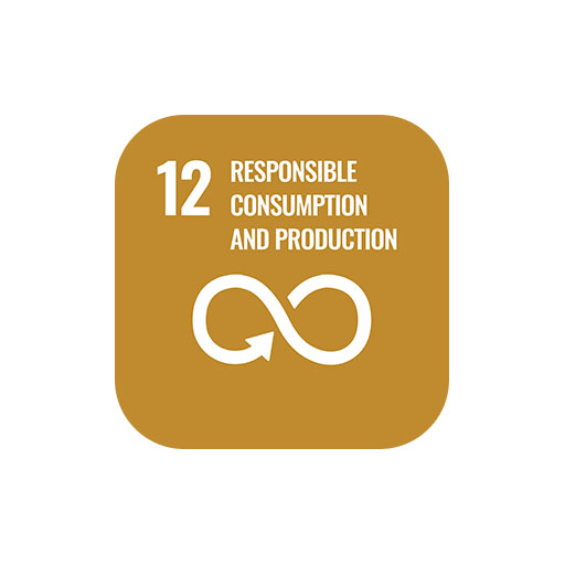 SDG 12