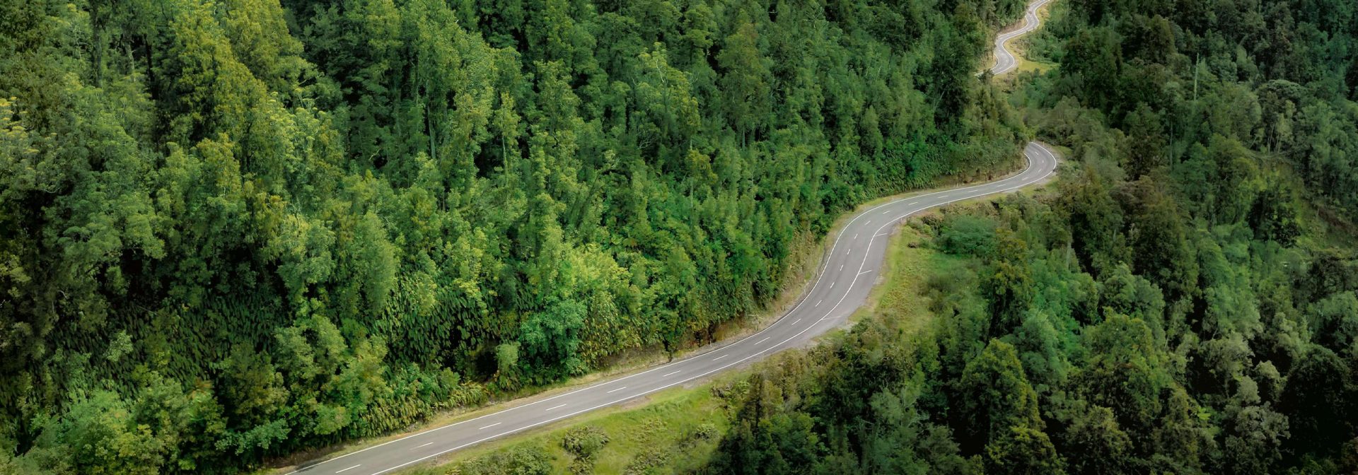 Landstraße im Wald