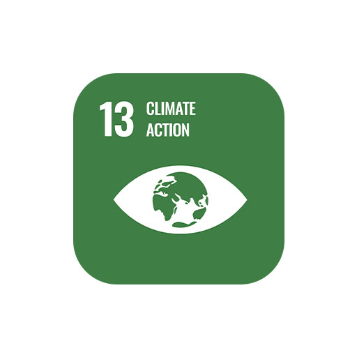 SDG 13