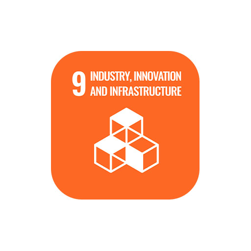 SDG 9