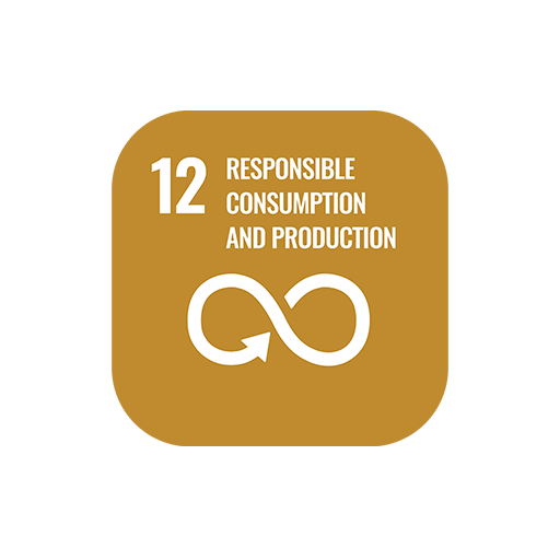 SDG 12