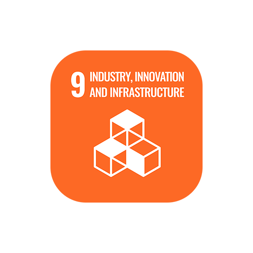 SDG 9