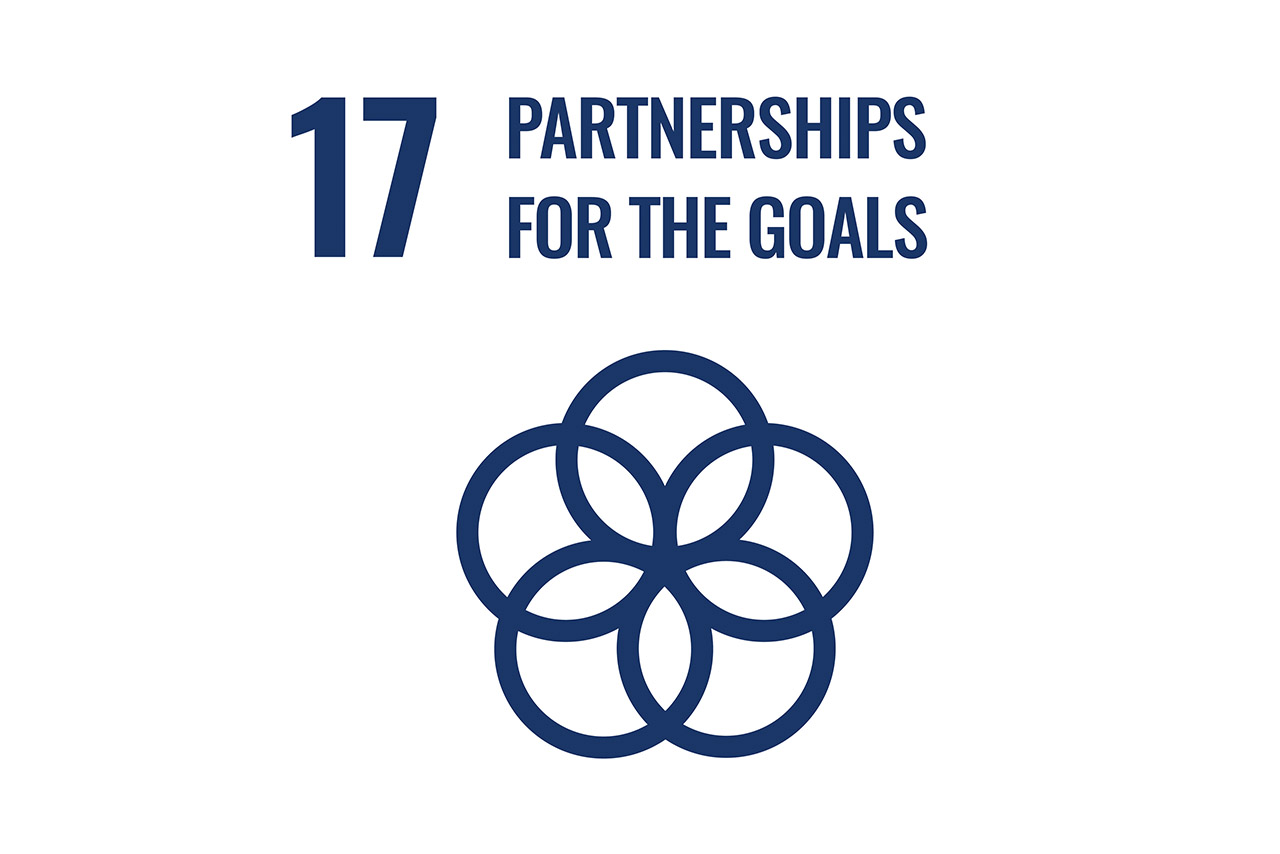 Partnerships for the goals