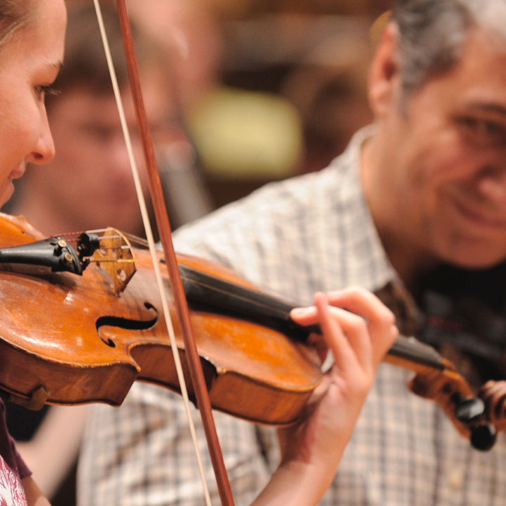 Strings in the orchestra