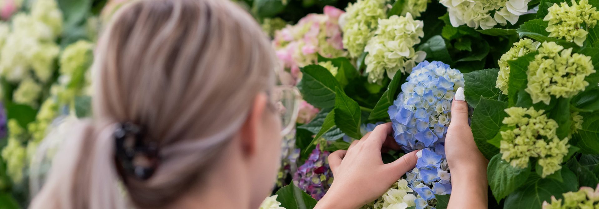 A woman is organizing the flowers