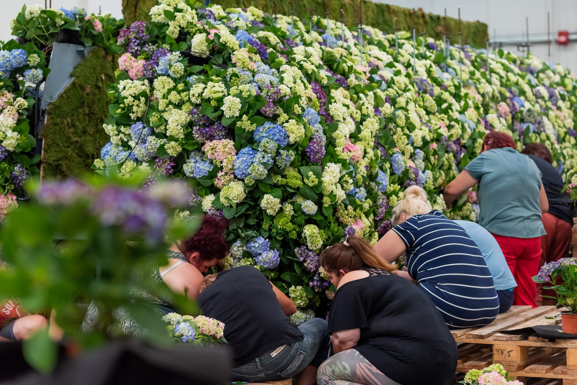 People are sitting at the flower wall